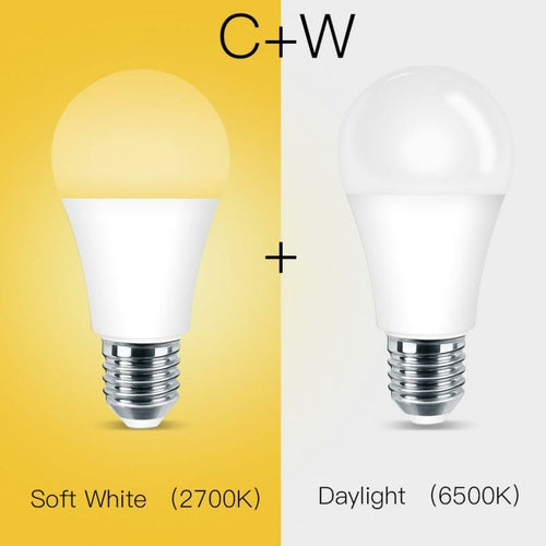 WiFi Smart Light Bulb – Alexa & Google Voice Control | Warm & Cool White LED